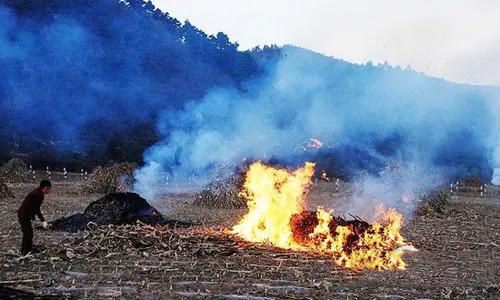 千里眼无人机监控焚烧秸秆污染环境行为(图1) 千里眼无人机监控焚烧秸秆污染环境行为(图1)